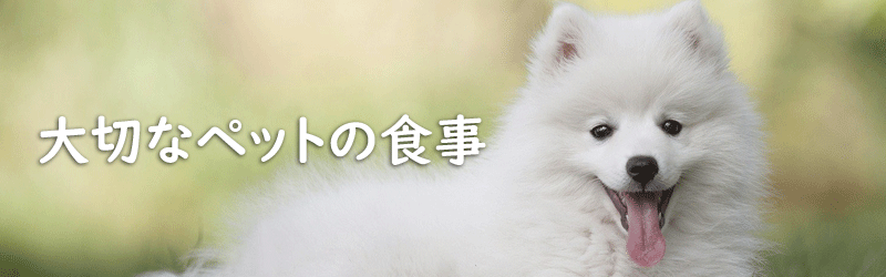 大切なペットの食事